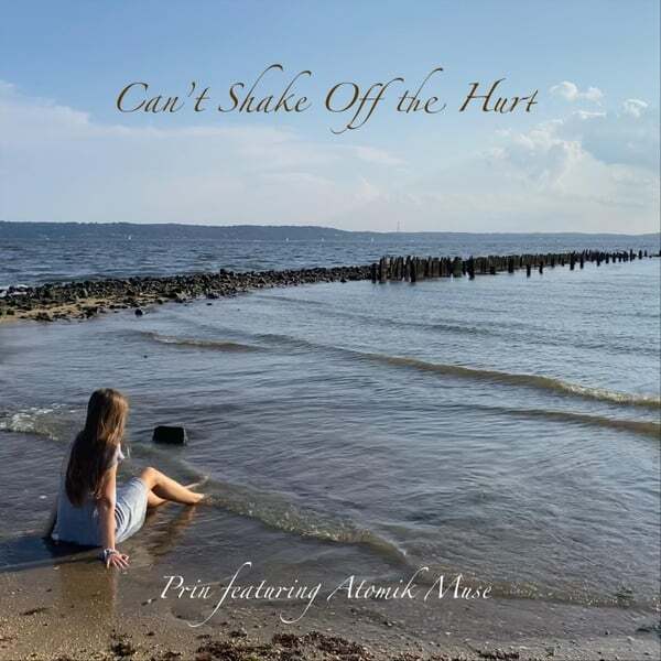 Cover art for Can't Shake off the Hurt